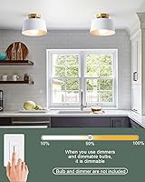 Vista 5 de Lámpara de techo, lámpara de techo para pasillo con placa dorada y pantalla blanca, lámparas de porche de estilo moderno y simple, montaje Blanco