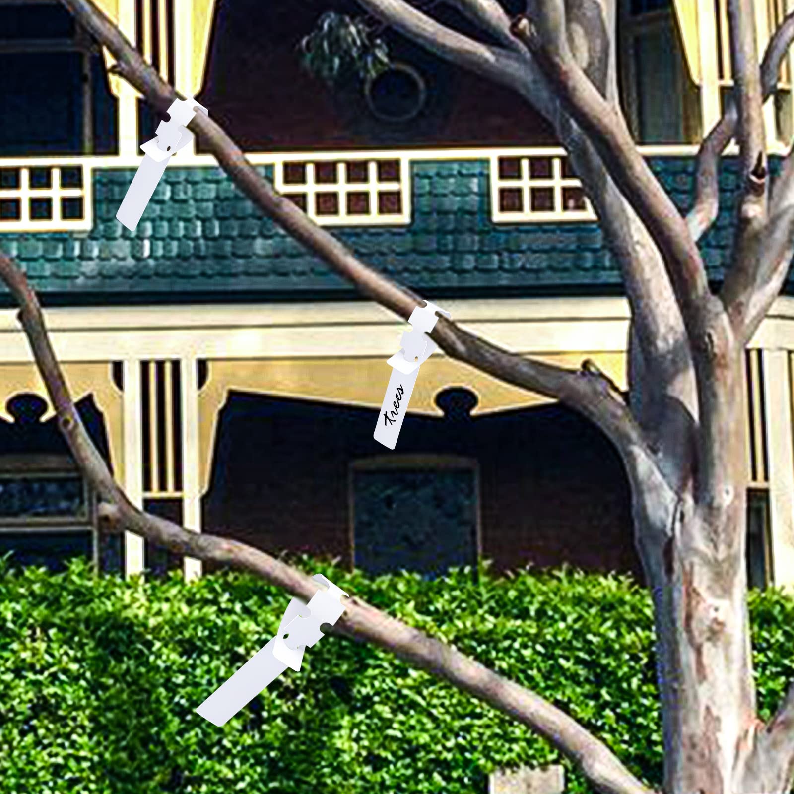 200 étiquettes De Plantes, étiquettes De Plantes Imperméables Pour