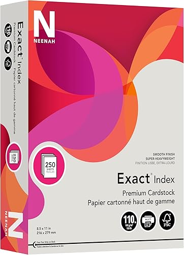 Neenah Exact Index papel tarjeta, 110 libras, 8,5 x 11 pulgadas, 250 hojas, Gris