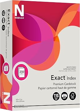 Wausau Exact Index Cardstock, 110 lb, 8.5 x 11 Inch, Pastel Gray, 250 Sheets 48598