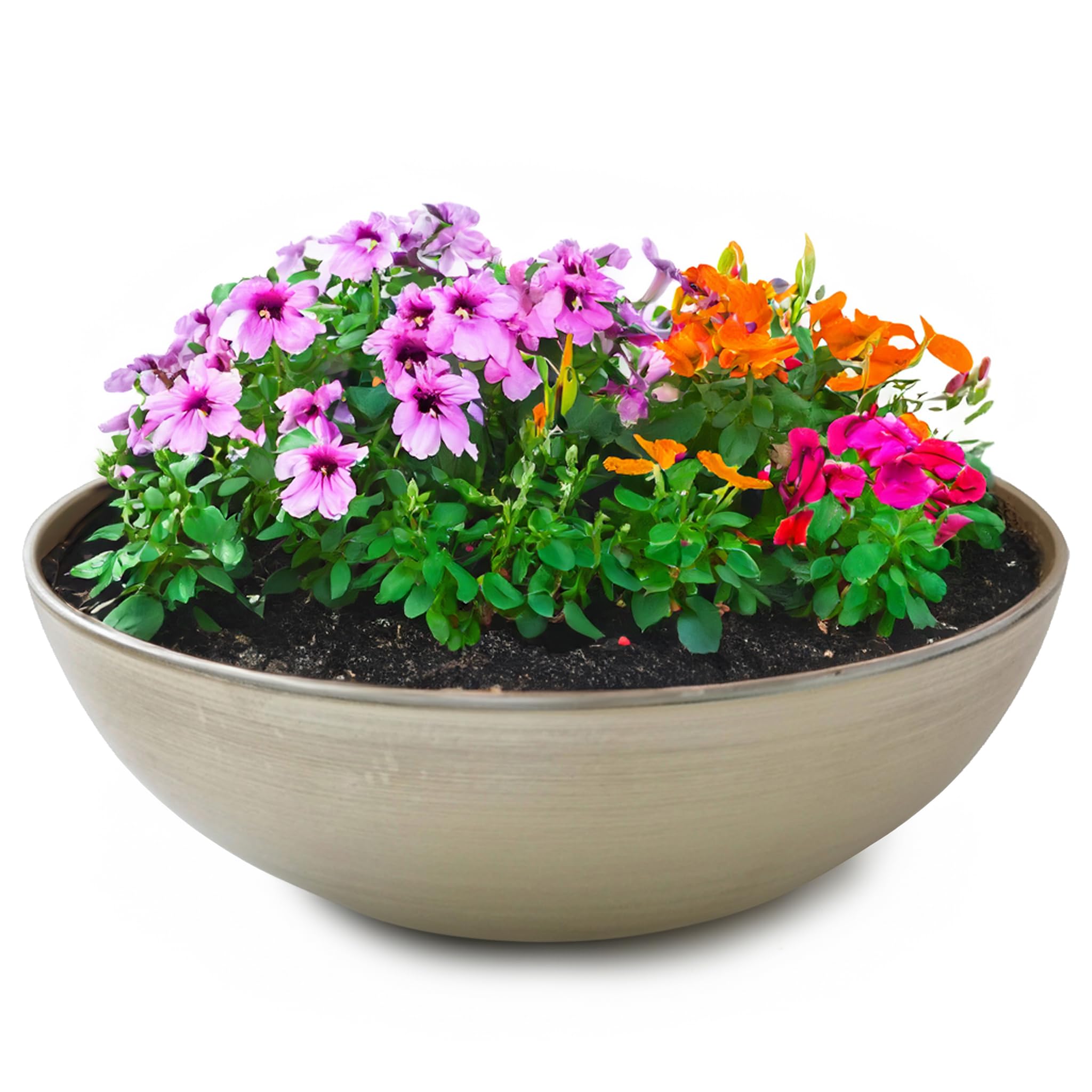 matches21 HOME & HOBBY Outdoor Plant Bowl Champagne Beige 20 x 7.5 cm Weatherproof Flower Bowl