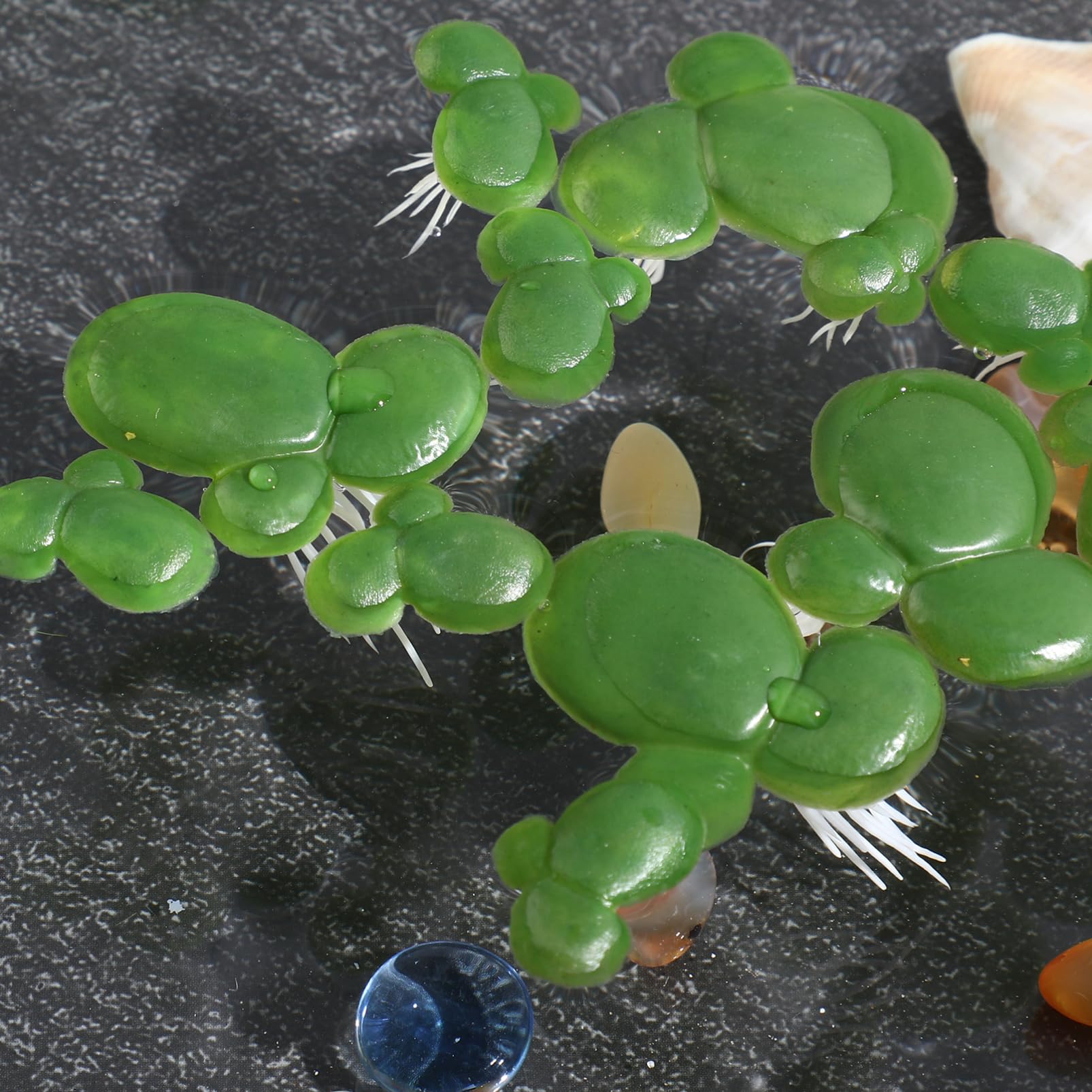 4paquetes Decoración Acuática Artificial De Plástico De Planta Flotante Simulada para Acuarios y Peceras Verde Natural