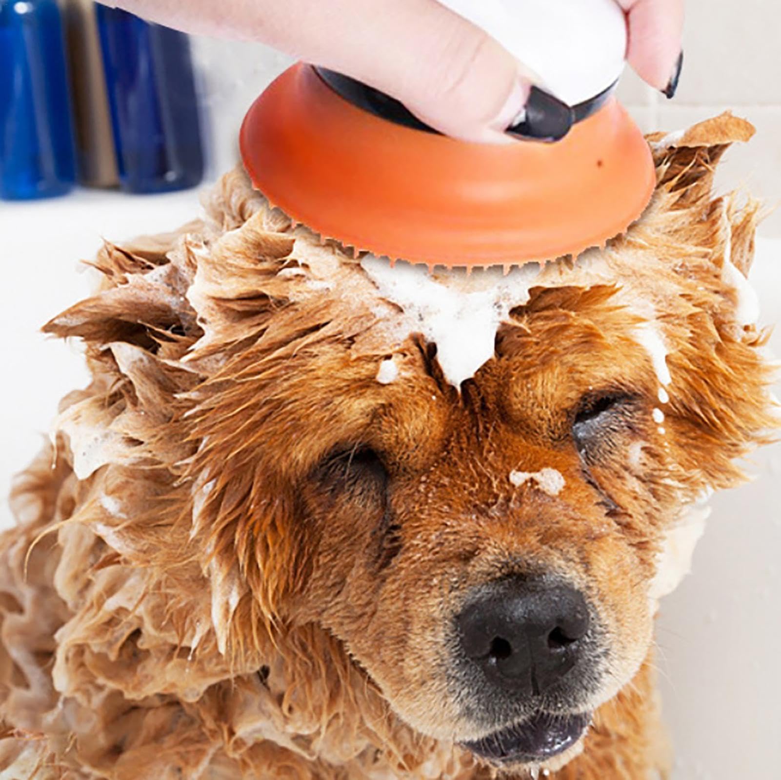 Accesorio de ducha para perros, manguera rociadora de bidé de mano de goma, cabezal de ducha para mascotas, rociador de baño para lavado de cabeza de perro, kit de cabezal de ducha de mano