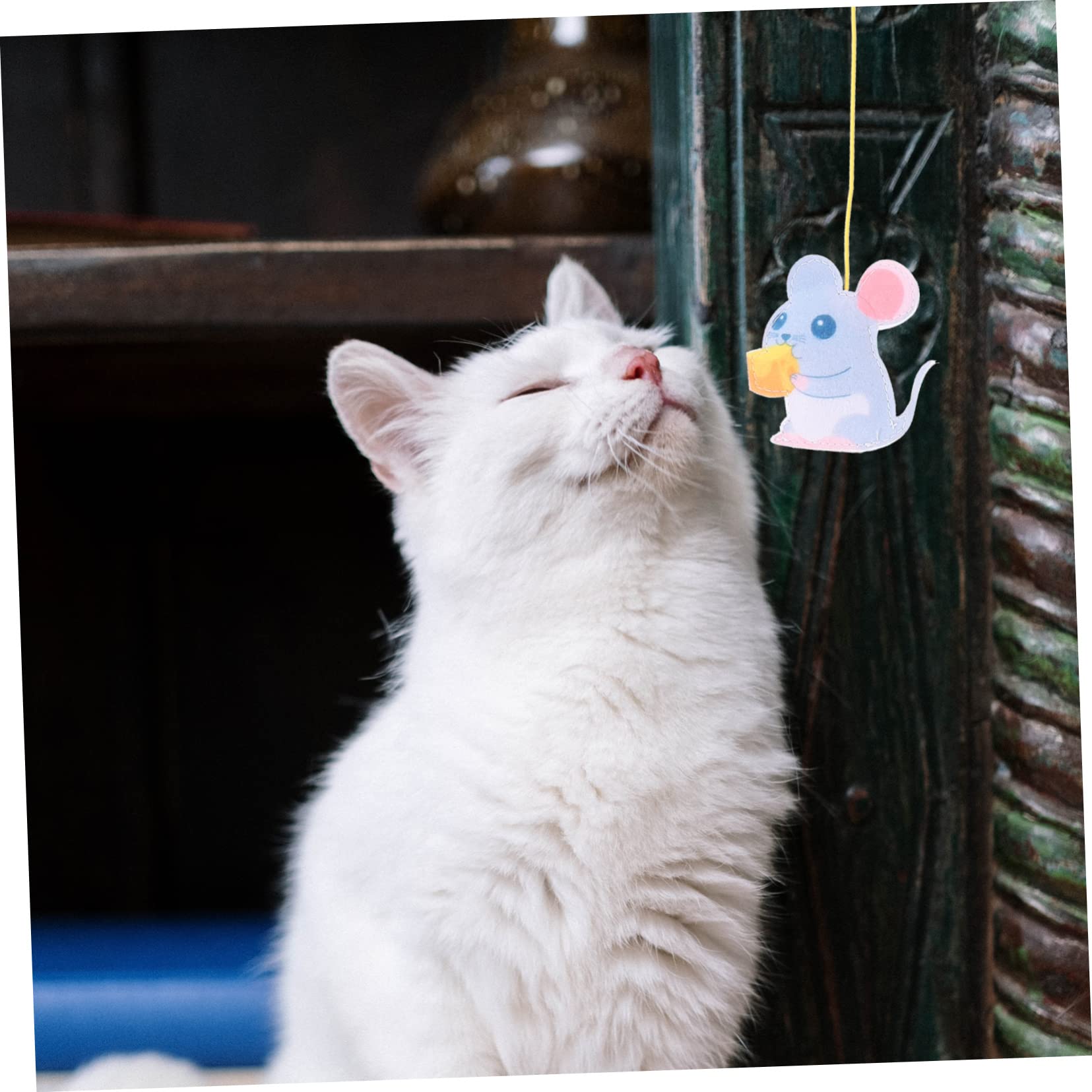 FRCOLOR 16stücke Katzen-Spielzeug Bunten Federn Und Geräuschen Interaktive - Für Katzen Selbstbeschäftigung Und Unterhaltung Innenräumen