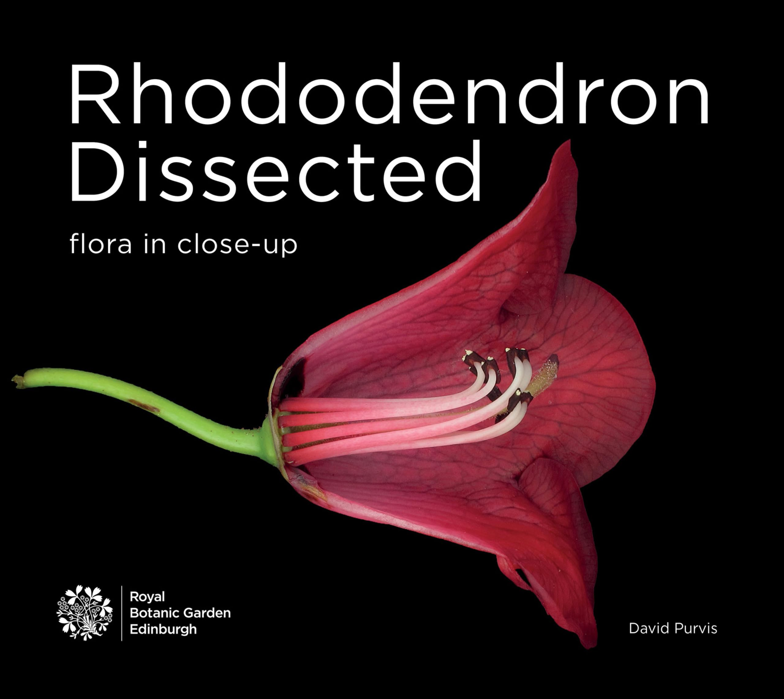 Rhododendron Dissected: Flora in Close-up (Paperback, 2021)