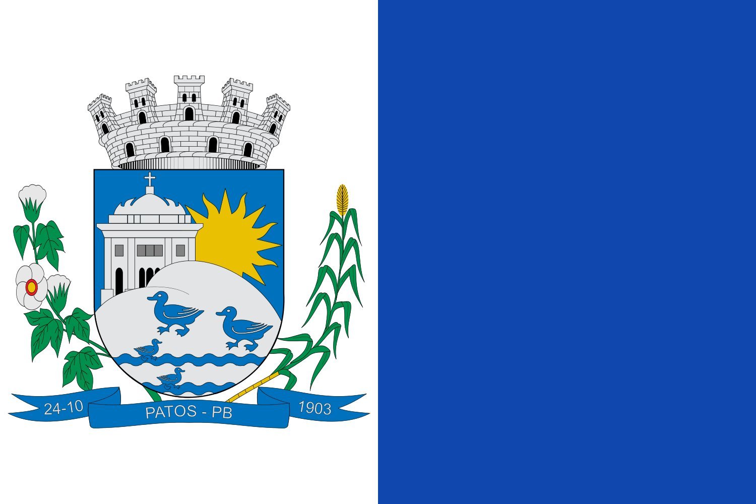 Drapeau Patos PB Paraíba en textile de haute qualité aux finitions soignées