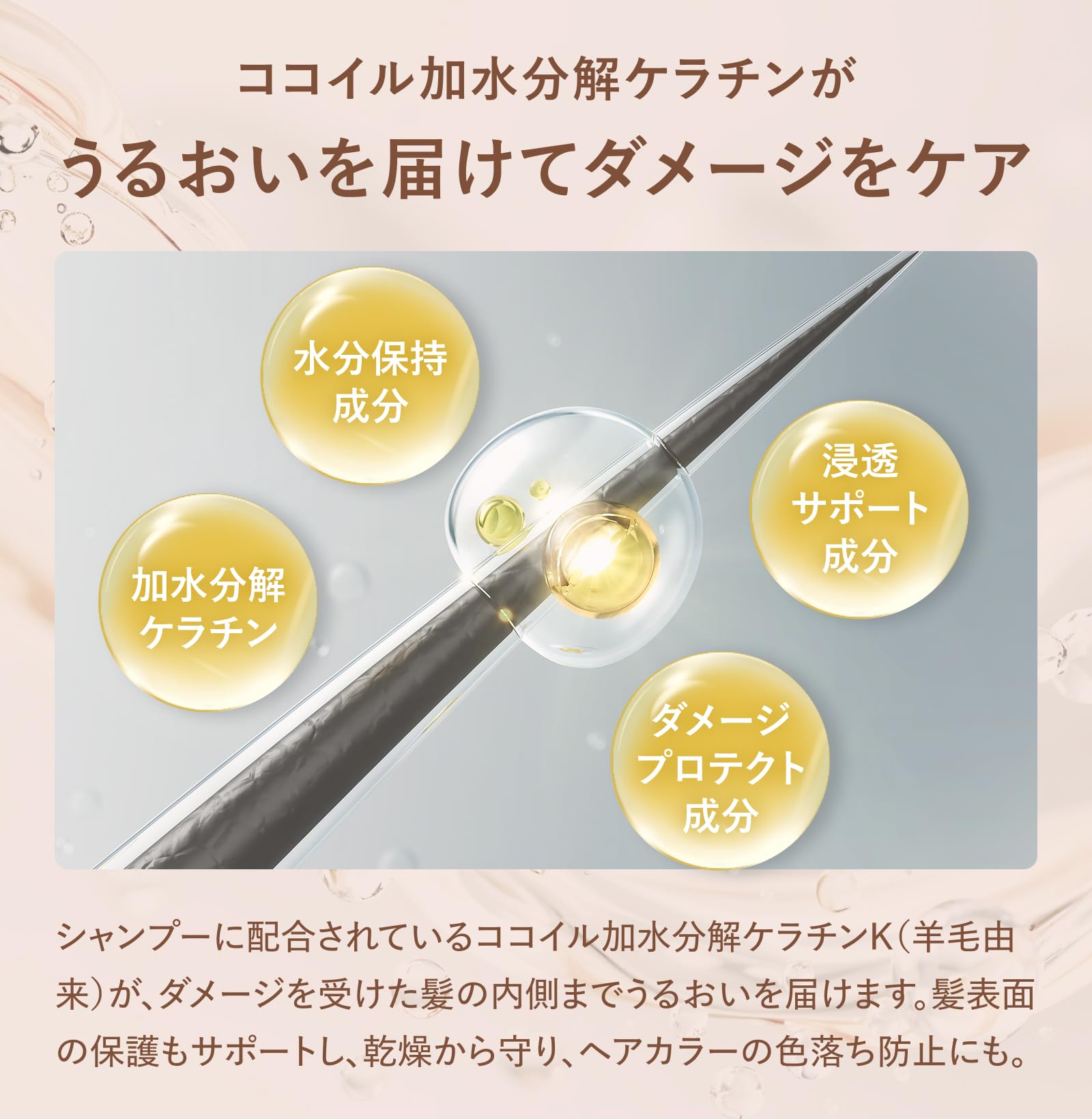 Amazon | カラリス シャンプー トリートメント セット 【美容室専売品