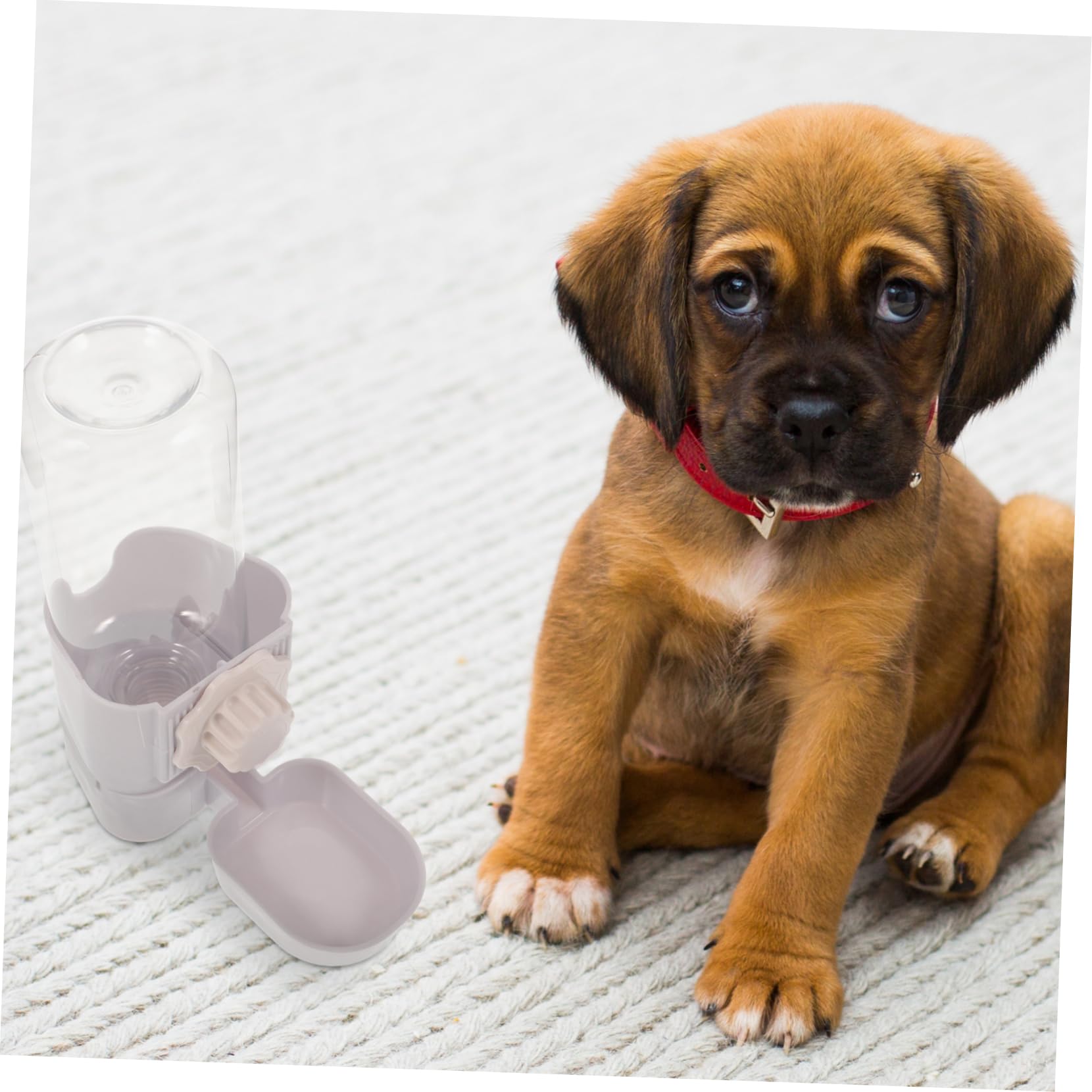 minkissy 3pezzi Dispenser per Animali Domestici Bottiglia Appesa per Cuccioli e Gatti Bevitore Automatico per Cani Facile da Pulire e Installare Materiale Durevole e Resistente