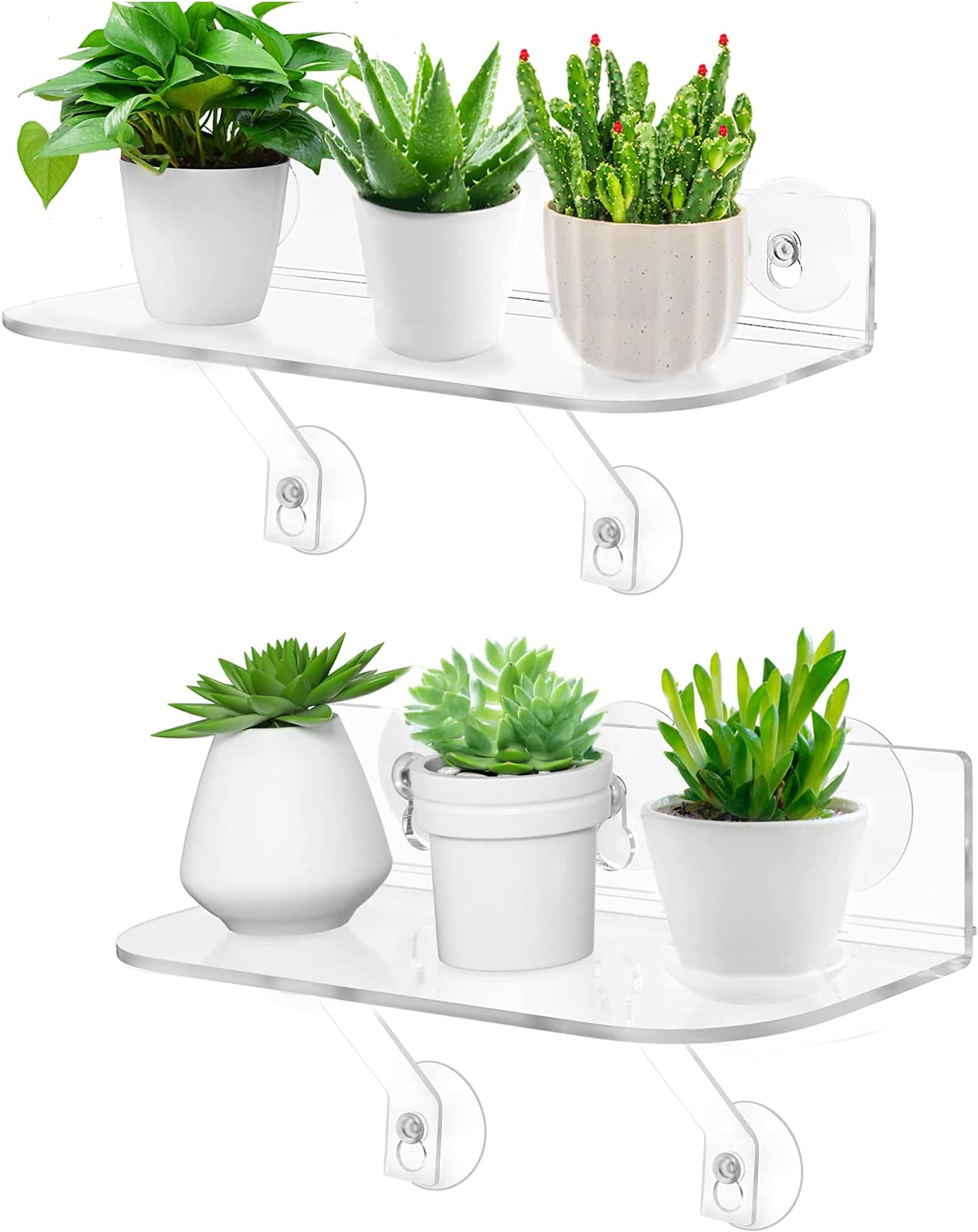 Suzile 3 Pack 15 Inch Acrylic Window Shelf for Plants
