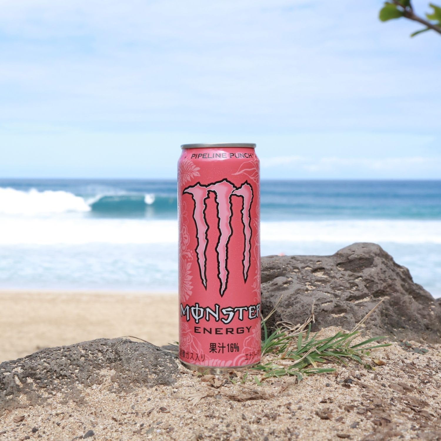Amazon.co.jp: 【アサヒ】モンスターパイプラインパンチ 355ml、6缶