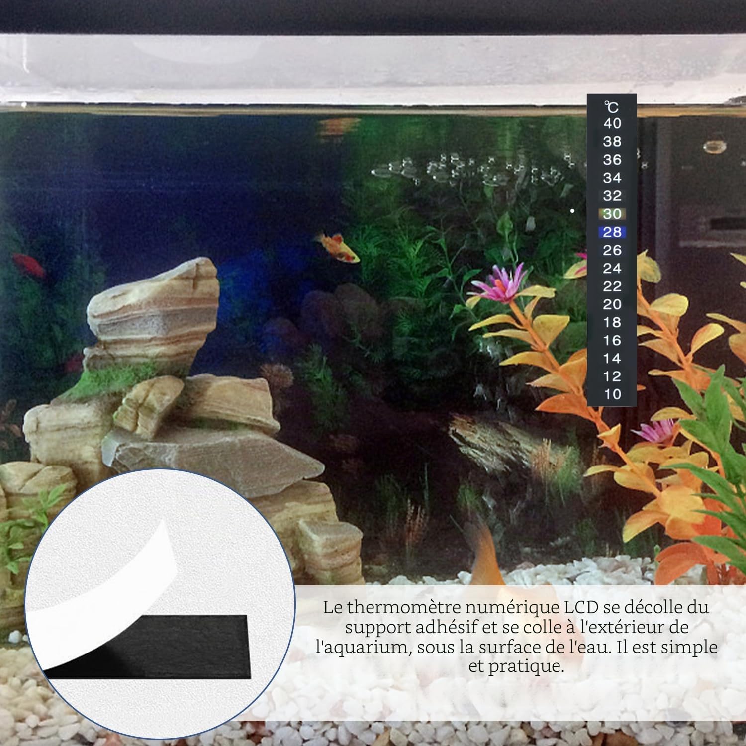 Lot de 4 autocollants de température de l'eau autocollants - Thermomètre numérique d'aquarium - Convient pour la pose de tortues, reptiles et poissons d'ornement (noir)