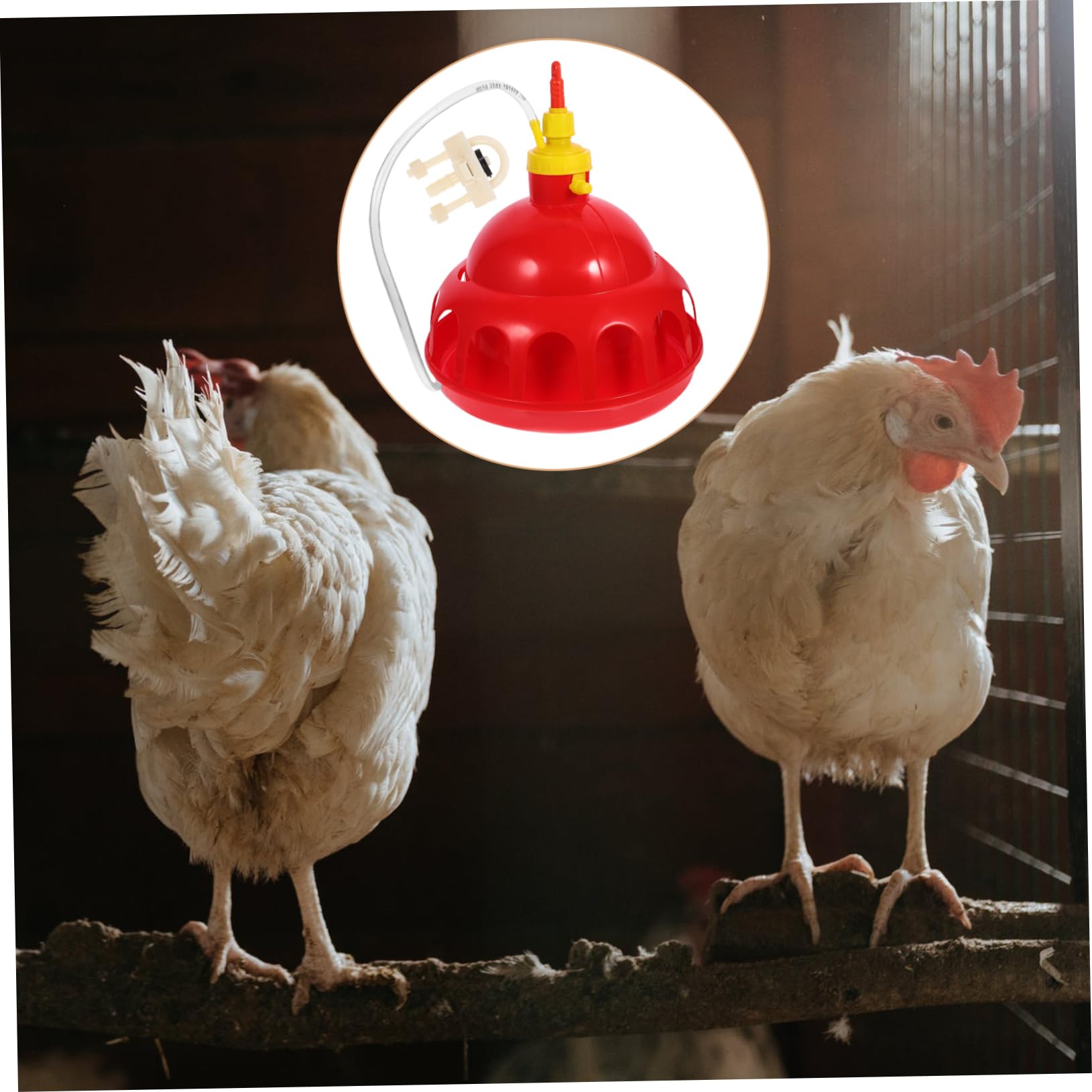 Yardwe Bebedero Automático Espesado para Aves De Corral Dispensador De Agua Fácil y Seguro para Gallinas y Codornices