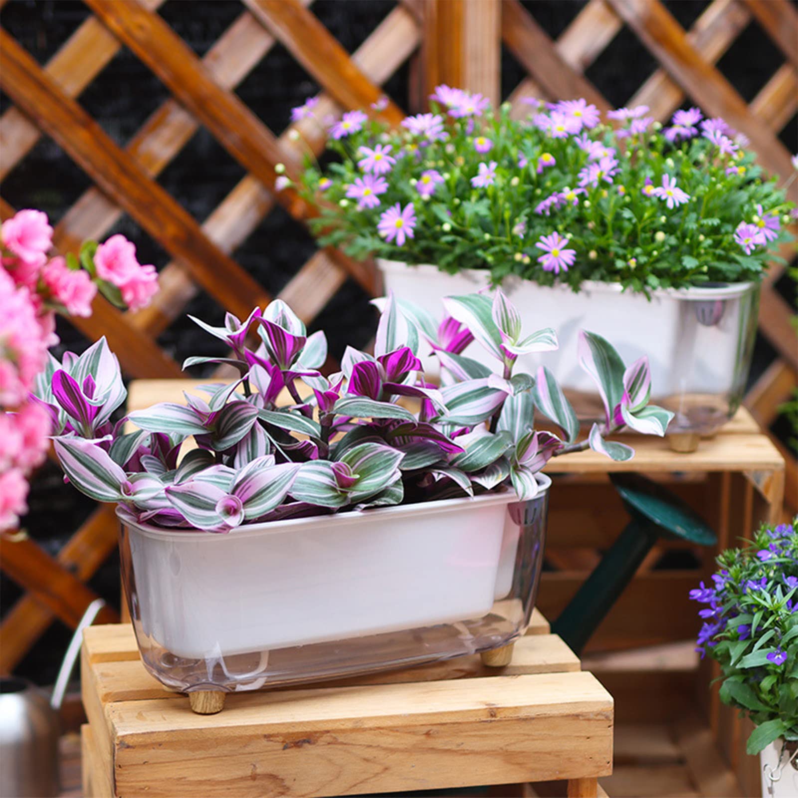 Zelfbewaterende Orchideeënpot 15 cm met Waterpeilindicator
