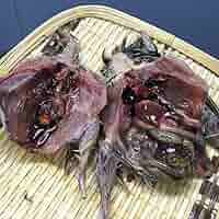 【無薬】猛禽類・爬虫類などに！！北海道産　冷凍ウズラ 100羽【未処理】 71sm5YZkR8L._AC_SY200_QL15_.jpg