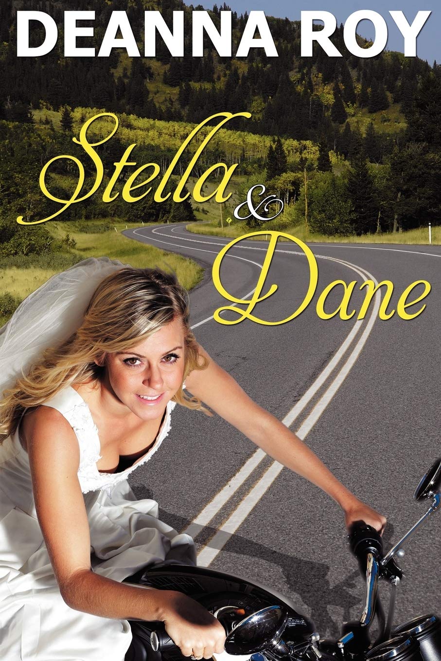 Buy Stella and Dane: A Honky Tonk Romance — BookShops.in