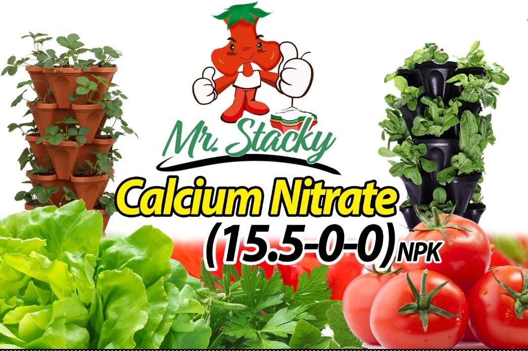 Best Fertilizers For Lettuce In 2023 The Ultimate Guide