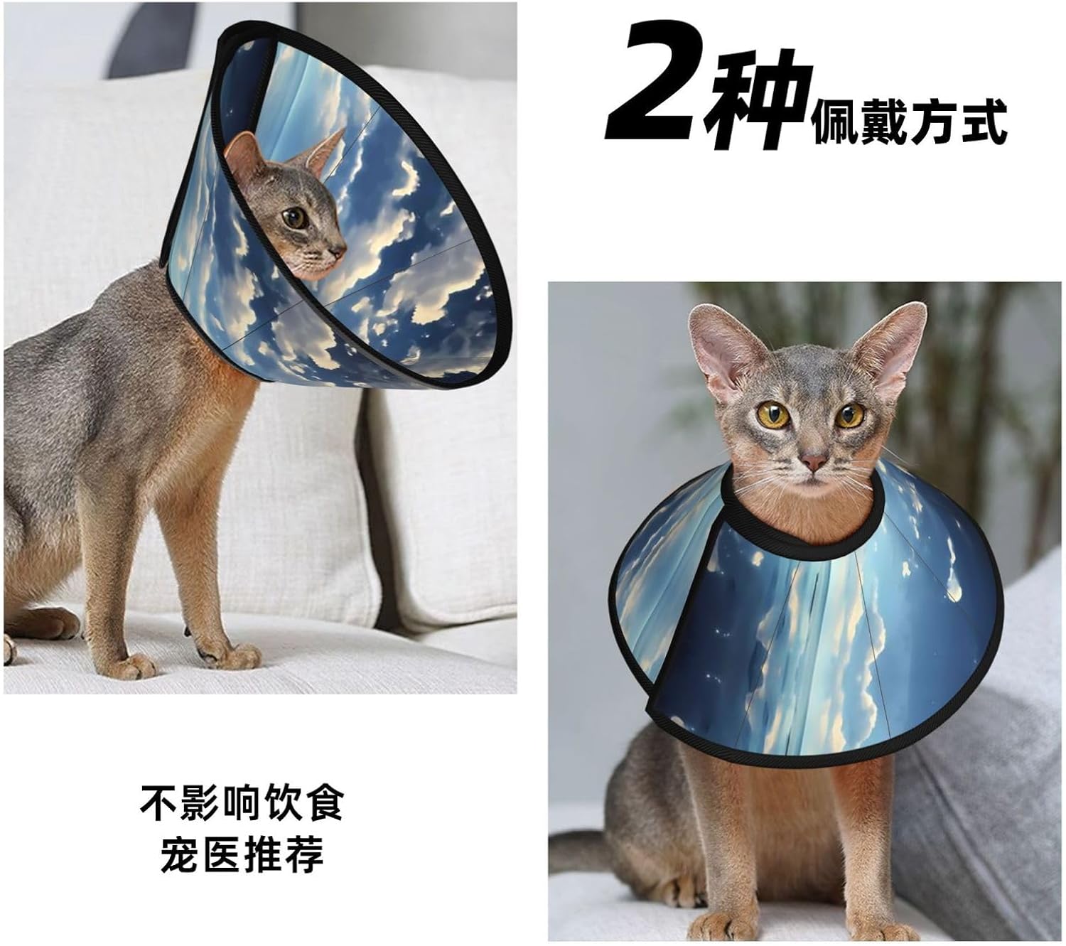 Custom Pet Cones - Unique Design Cat & Dog Cone, Collar for Post-Surgery Recovery, Adjustable Neck Sea Sail Mirror Large