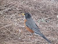 Review Image by Jessica Jessica