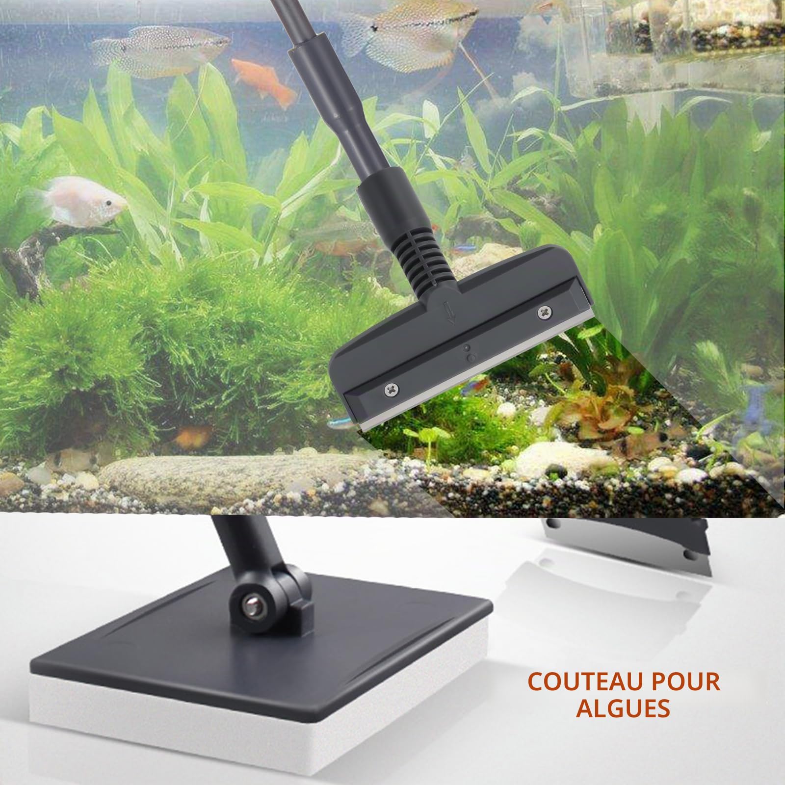 Coolty Outils de Nettoyage D'aquarium 6 en 1 avec Long Manche Télescopique, Grattoir, Filet de Pêche, Brosse de Nettoyage éponge, Râteau de Sable pour Le Nettoyage des Algues dans Les Aquariums