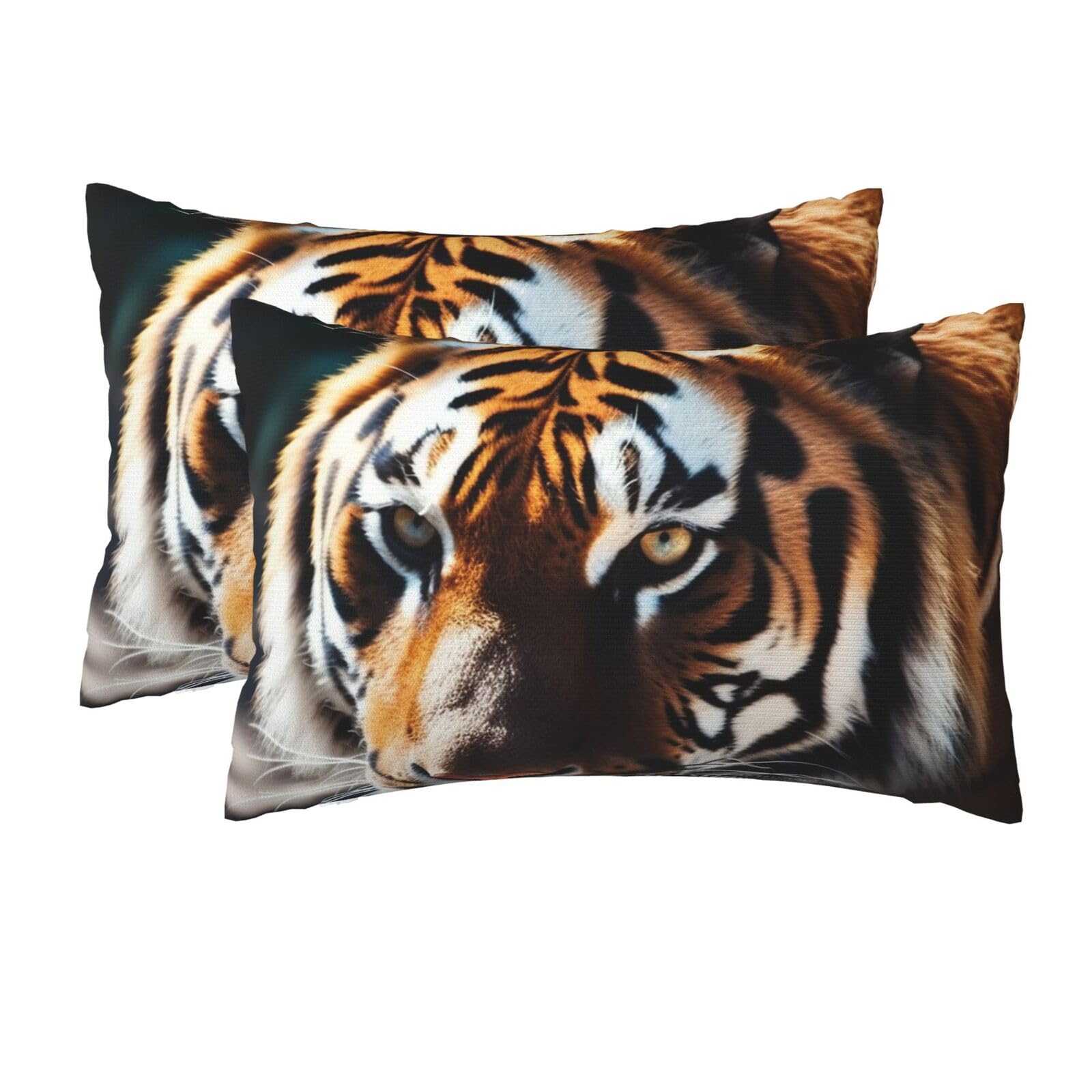 2 Pack Queen Pillow Cases with Hidden Zipper, Soft Breathable Pillow Covers for Hair and Skin, Wild Animal Tiger Pillowcases 20"x30" Bed Pillow Protectors Cover for Sleeping Gifts