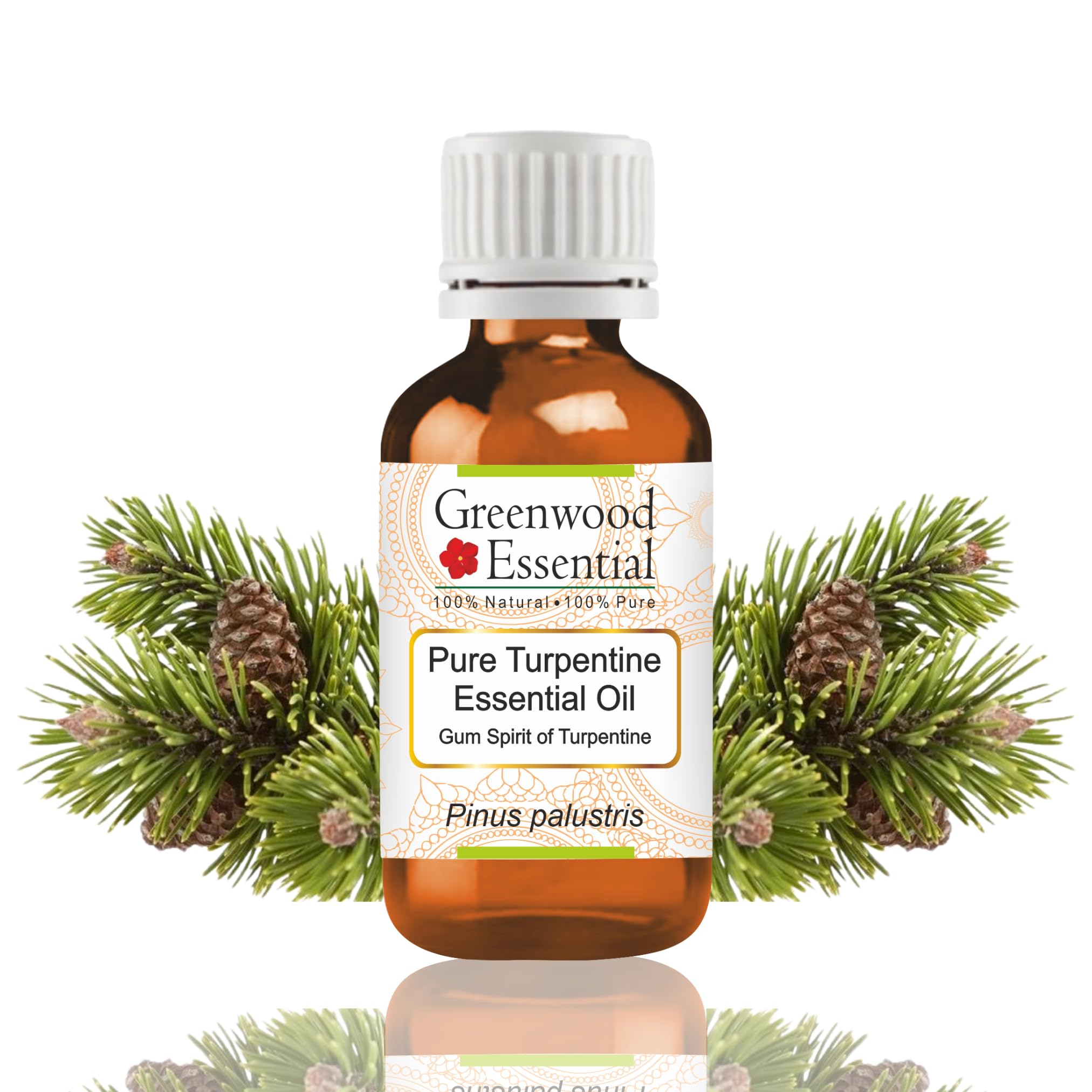 Greenwood Essential Turpentine Essential Oil (Pinus palustris)-Gum Spirit of Turpentine Pure | Non-Sticky | Non-greasy | Lightweight | Men & Women | All Skin Types | Steam Distilled 30ml