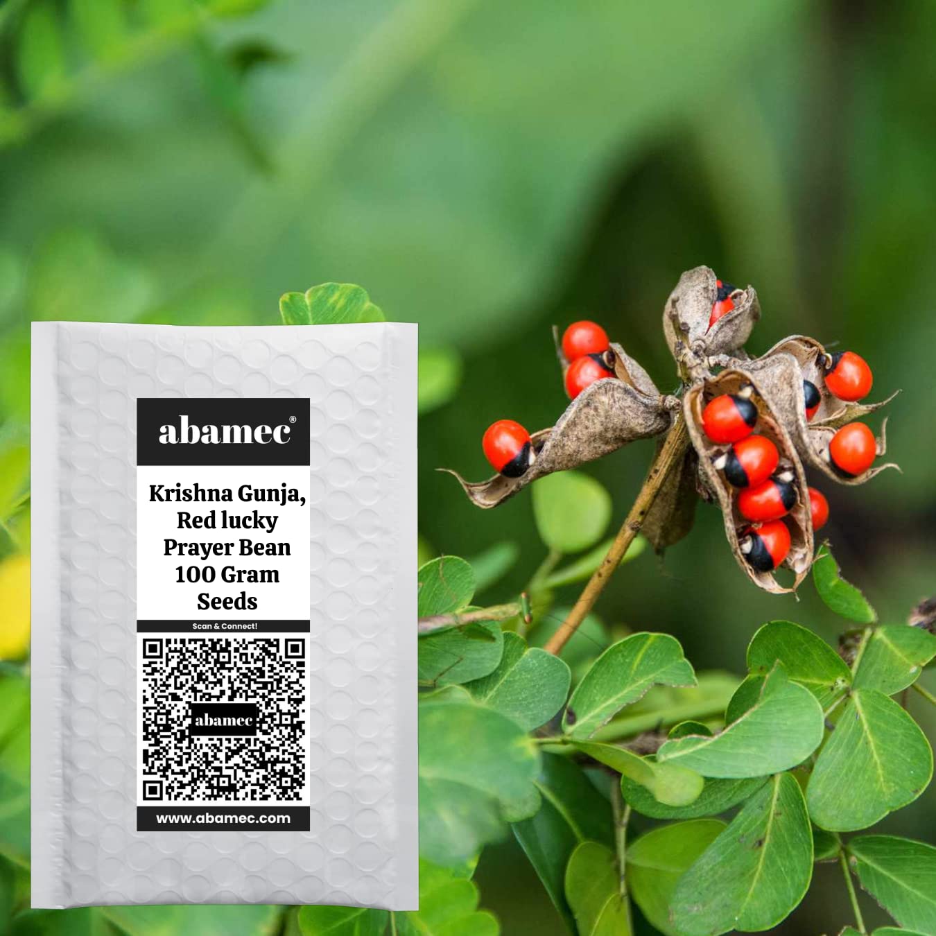 abamec Red Prayer Bean Seeds for Growing, Red Rosary Pea Seeds, Krishna Gunja - 100 Gram Seeds (B09Z61P724) Amazon Price History, Amazon Price Tracker