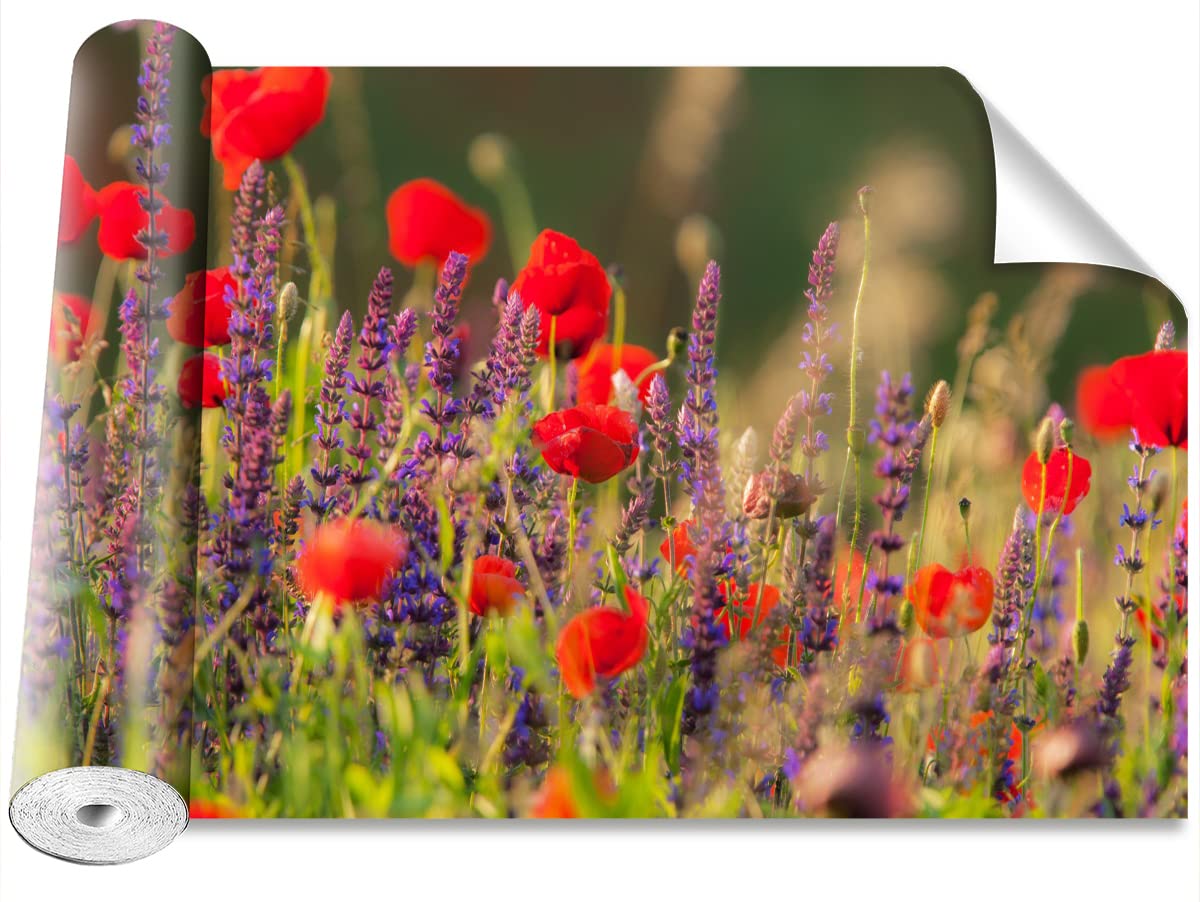 Papier peint fleurs de terrain pour masquer imperfections mur maison