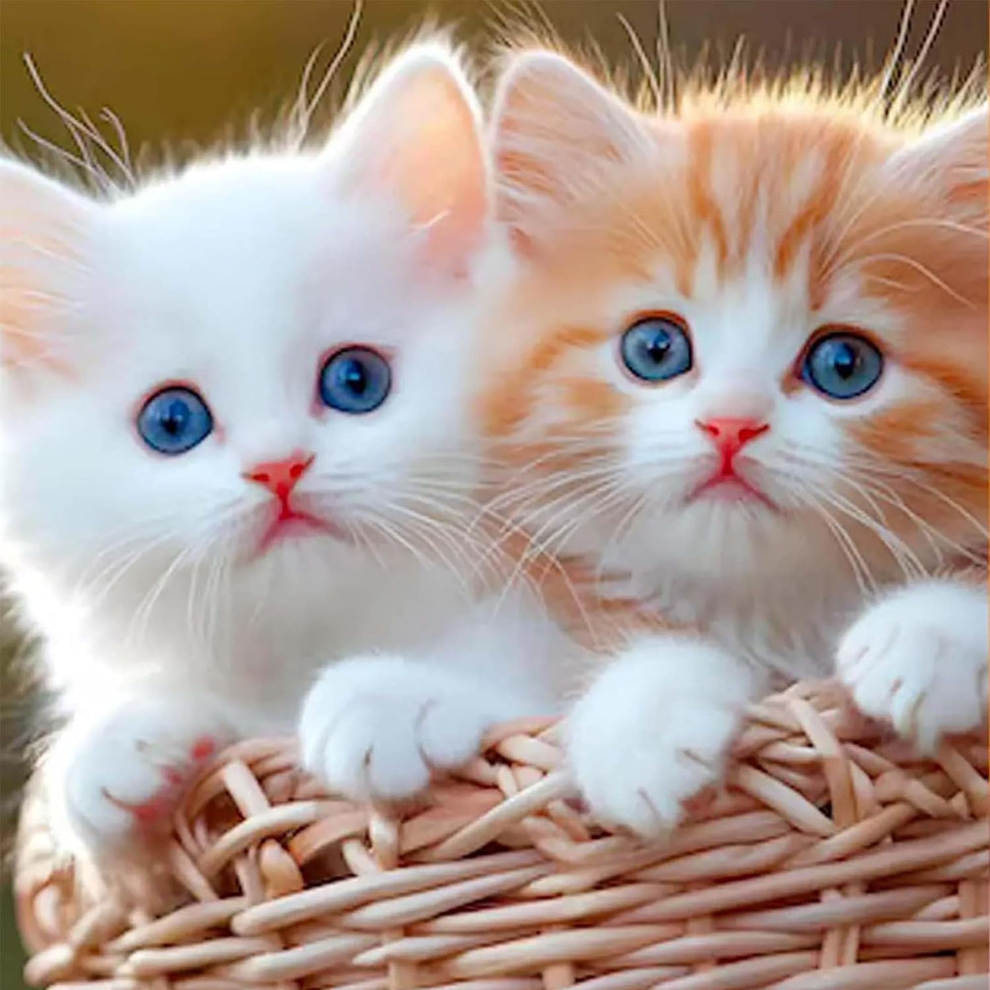 2026 Nuovo Gatto Robot, Nicoo - Il Mio Realistico, Robotcat Che Si Comporta Come Un Vero Gatto, Camminando e Abbaiando Coda