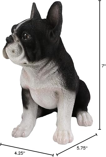 Miniatura 9 de Ebros - Estatua realista de bulldog francés negro realista con ojos de cristal, 7 pulgadas de alto, pintada a mano, figura de perro coleccionable