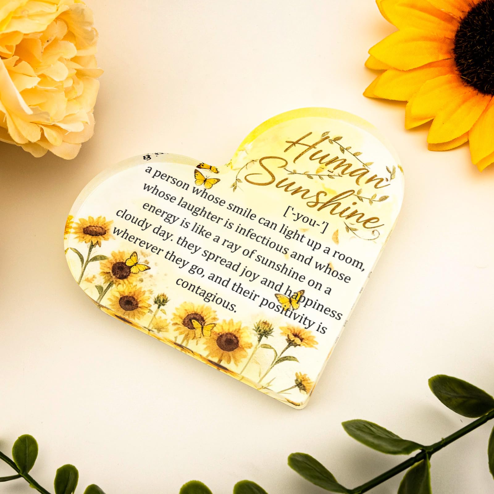 Inspirational Gifts For Women Social Worker Sentimental Gifts Thoughtful Gifts For Friends Female Teacher Thank You Gift Women Coworkers Doctor Nurse Human Sunshine Acrylic Stand