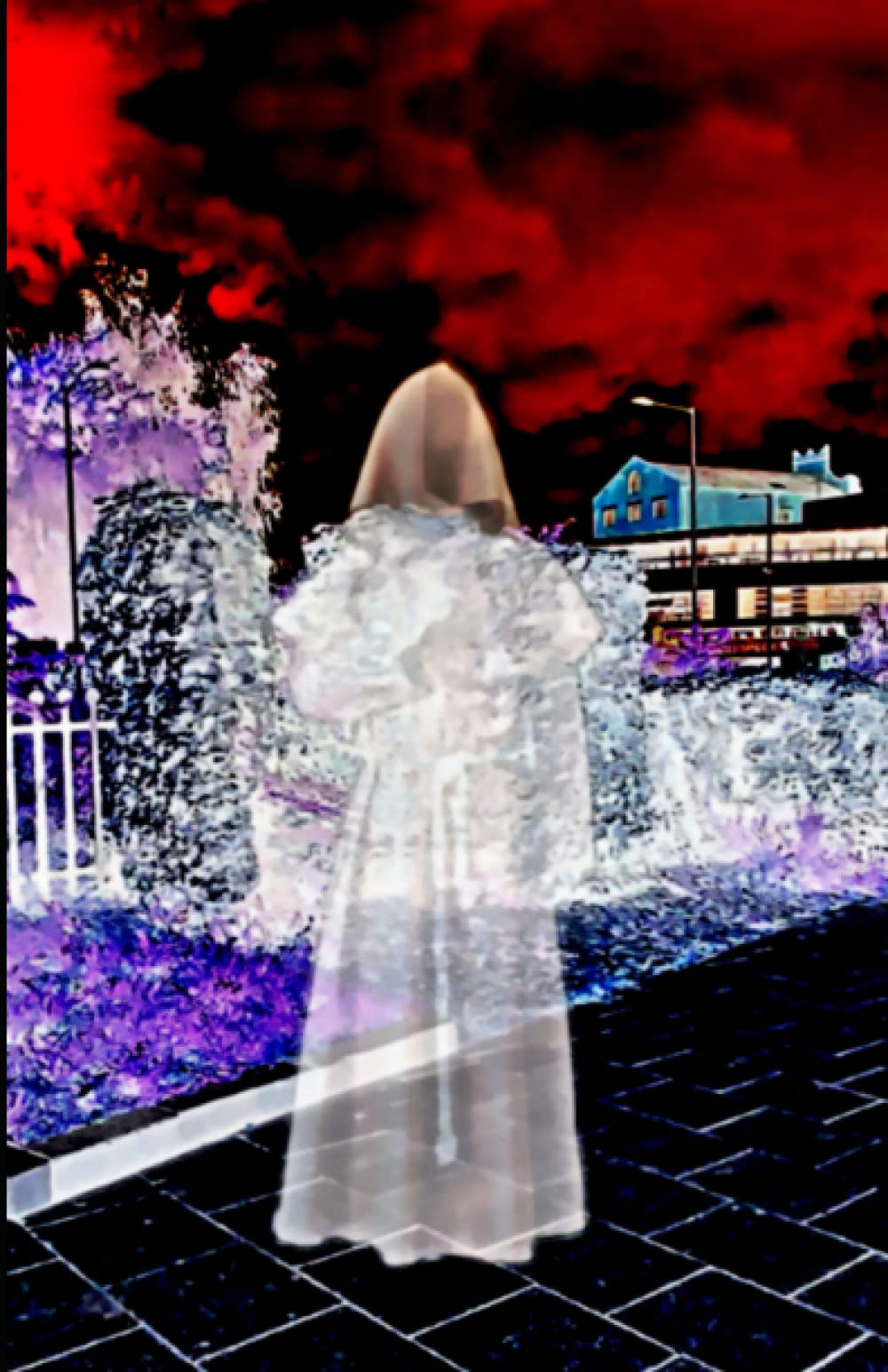 The Other Side Book of Ghosts