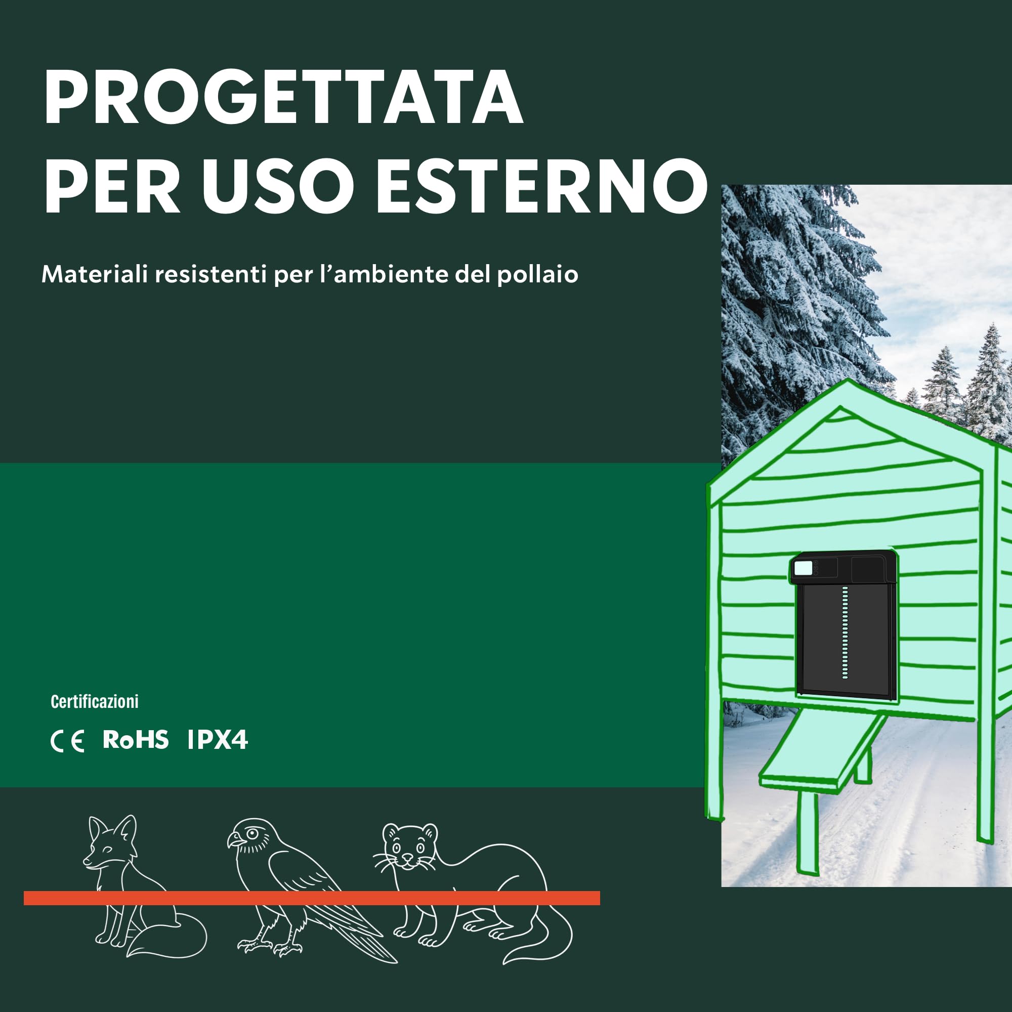 Porta Automatica per Pollaio - Chiusura Programmata e Sicura