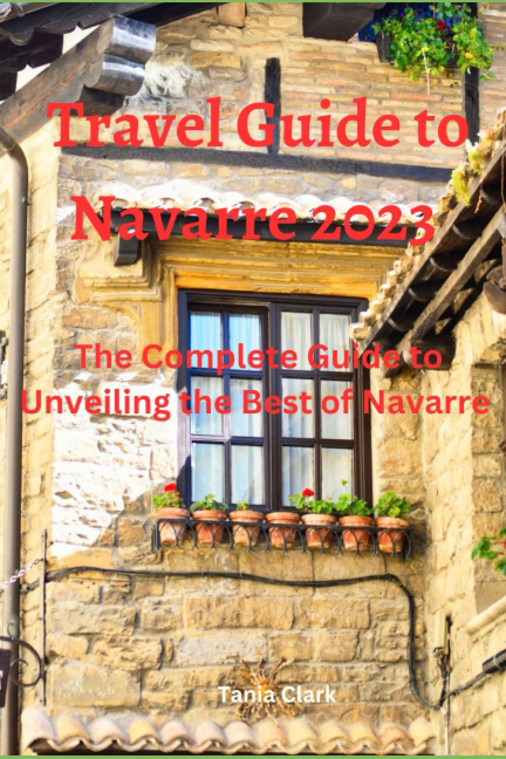 Travel Guide to Navarre 2023: The Complete Guide to Unveiling the best of Navarre