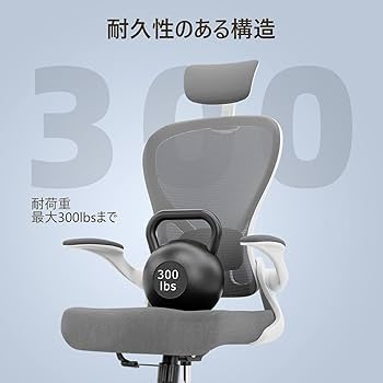 Amazon.co.jp: Frylr フィスチェア デスクチェア 人間工学 椅子