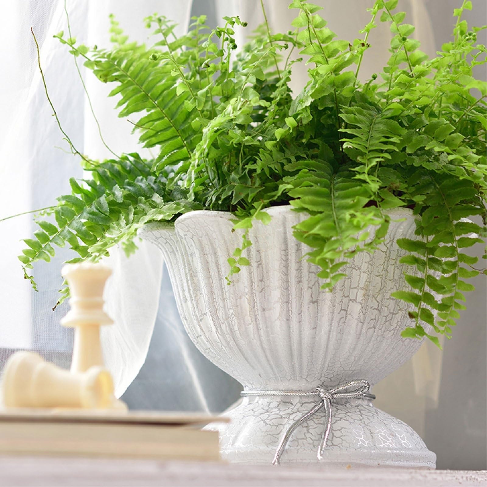 FRCOLOR Fioriera Da Parete In Ceramica Smaltata – Vaso Creativo Per Piante, Decorazione Interna