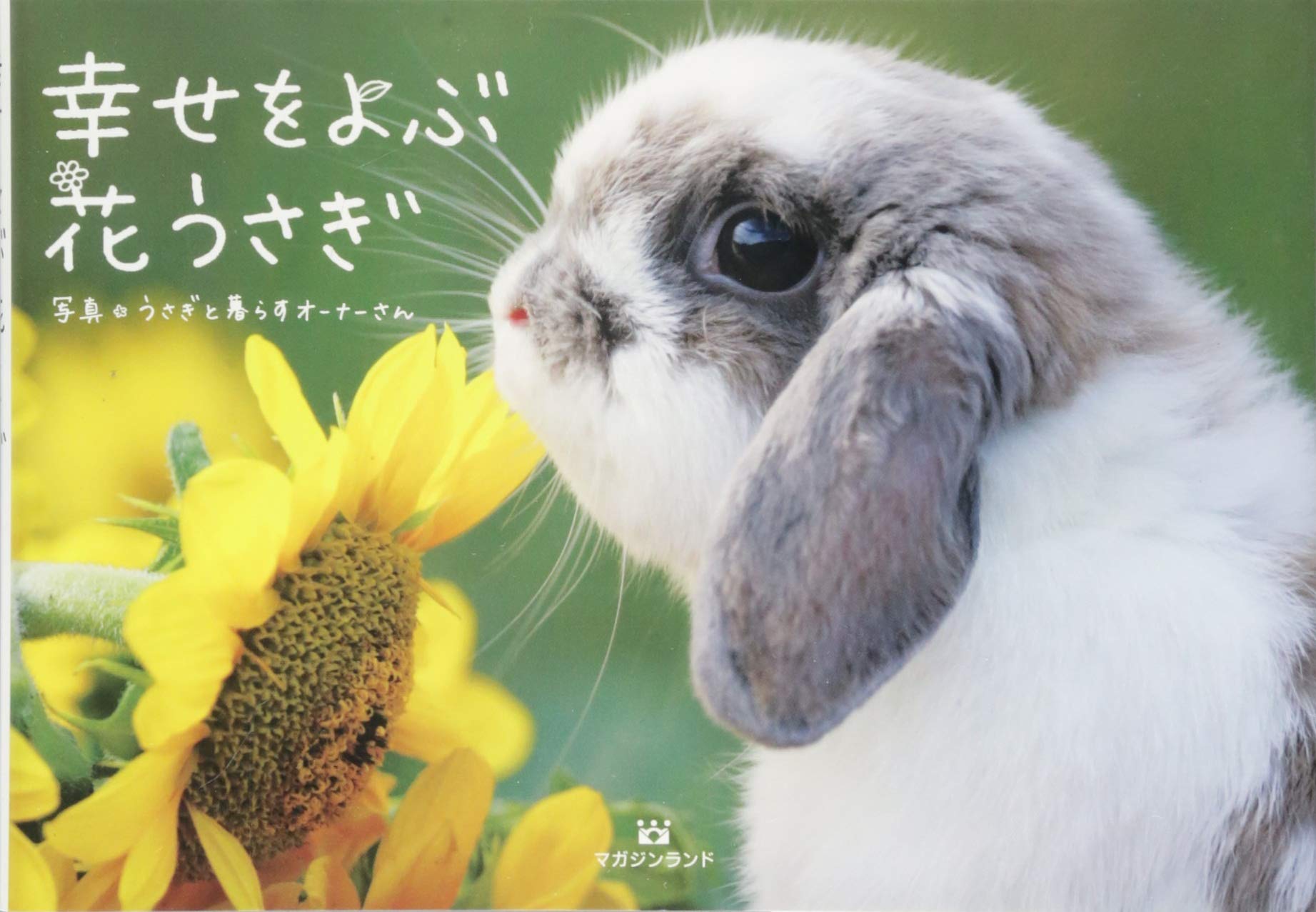 Amazon Fr Shiawase O Yobu Hanausagi Usagi To Kurasu Oi Nai San Livres