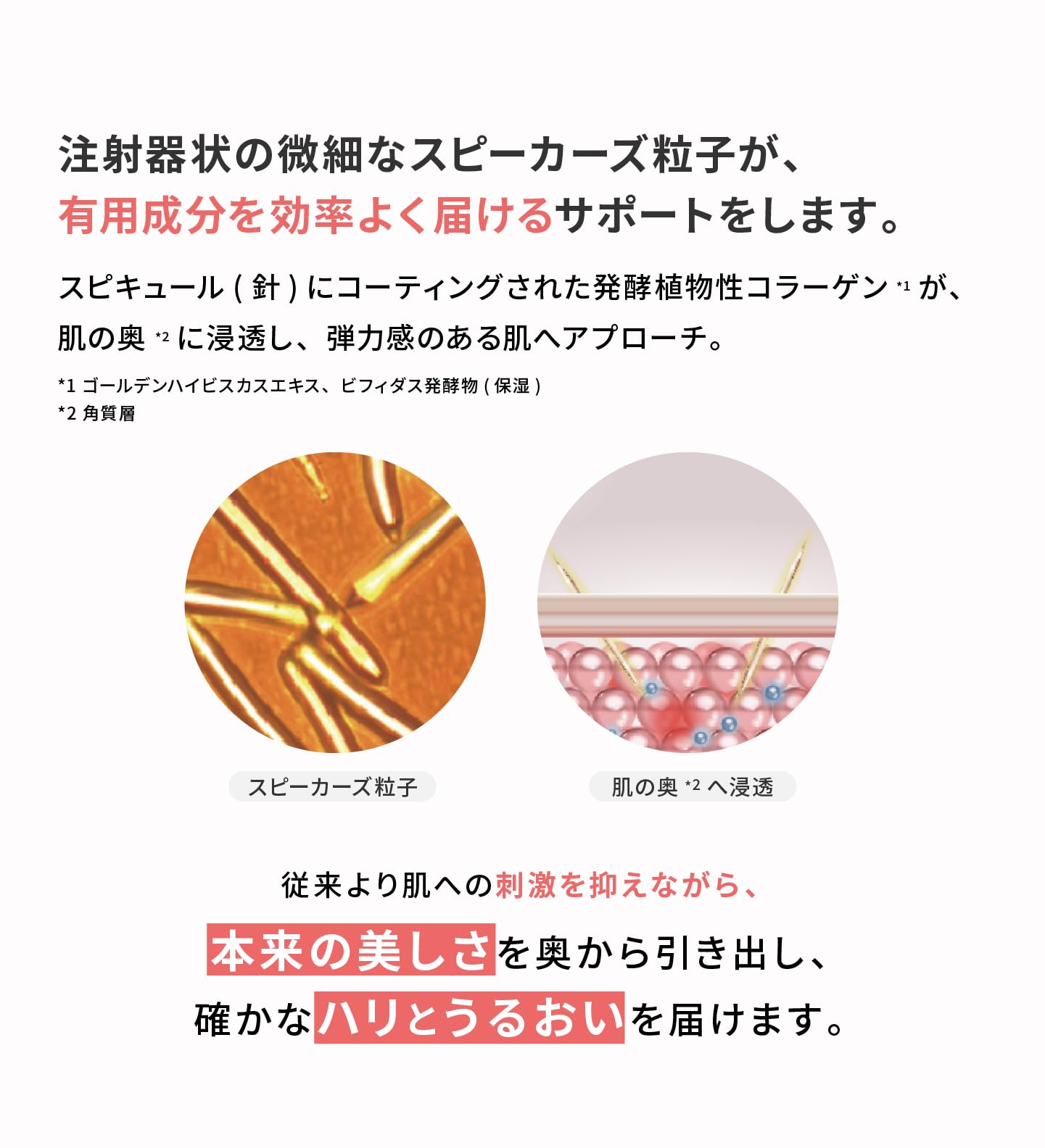 Amazon | EXOMERE（エクソミア）インプラントソリューション 10g