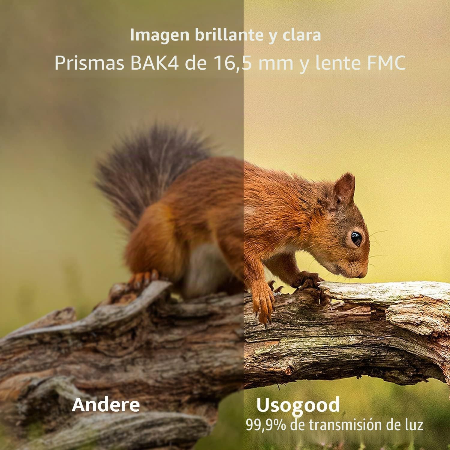 12 x 42 Binoculars for Adults,Prismas BaK4 y Lentes FMC, HD, Profesionales, Impermeables, para observación de Aves, Caza, Viajes y Actividades al Aire Libre (Shs)
