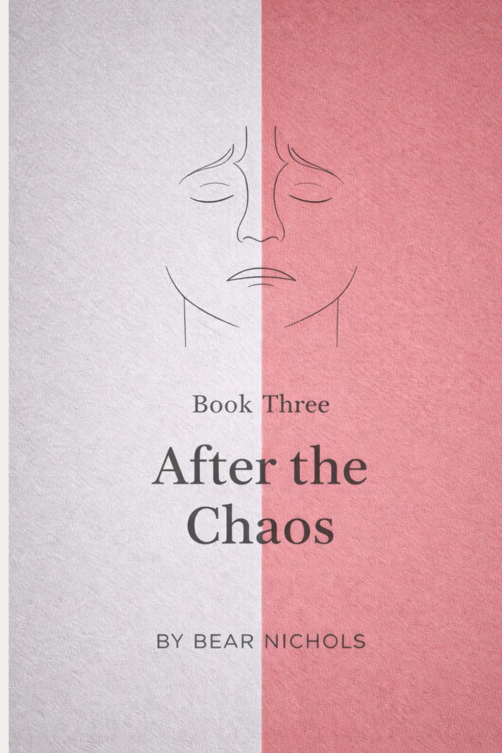 After the Chaos: A Recovery Workbook for Life After a Destabilising Relationship (Post-Relationship Clarity Workbooks)