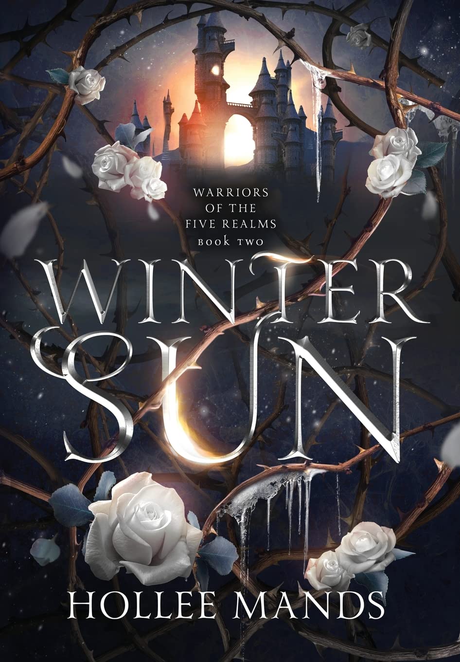 Winter Sun: 2 (Warriors of the Five Realms)