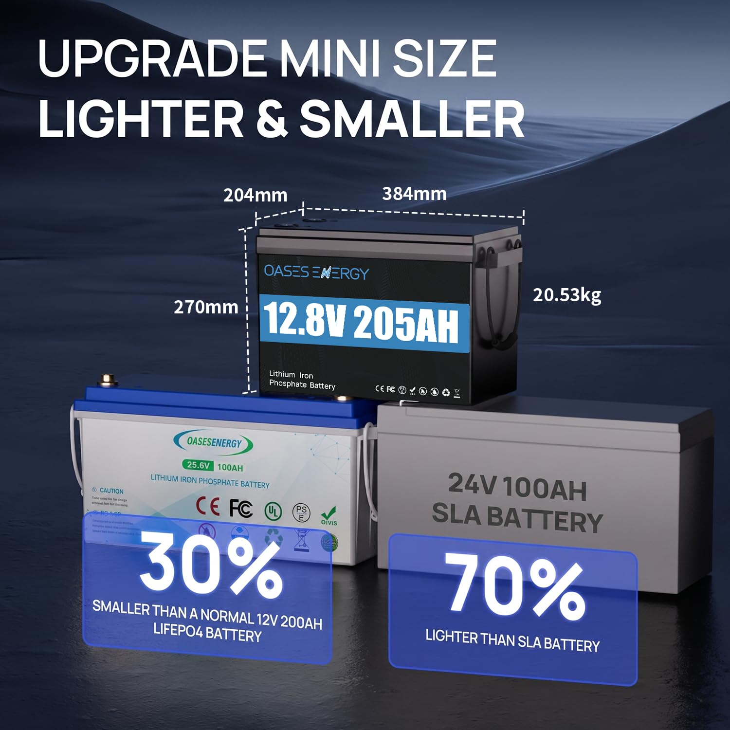 Batteria al Litio LiFePO4 12V 205Ah Con Bluetooth,Batteria a Ciclo Profondo di Mini Dimensioni Aggiornata con 200A BMS, 4000~15000 Cicli, per Camper,Campeggio, casa solare, barca