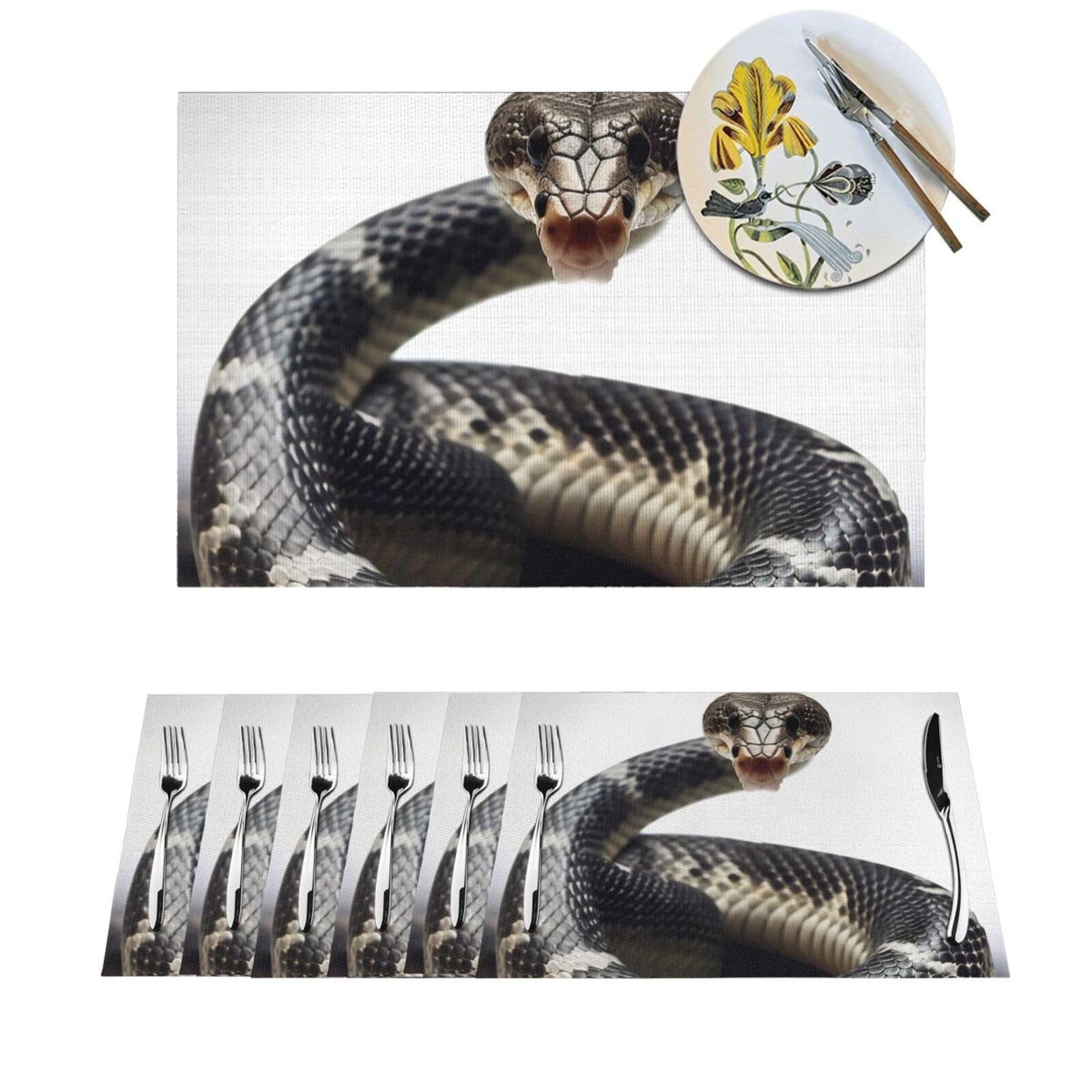 Sets de table lavables pour repas de famille et décoration de cuisine