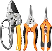 Vista 9 de GROWNEER 1 paquete de tijeras de podar de 6.5 pulgadas, tijeras de podar de mano para jardinería, tijeras de jardinería con cuchillas rectas