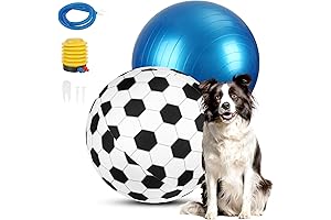 Herding Ball for Large & Medium Dogs - 22" Soccer Cover with Pump