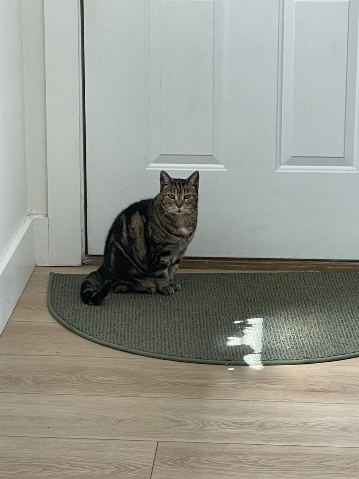 Semicircular Doormat