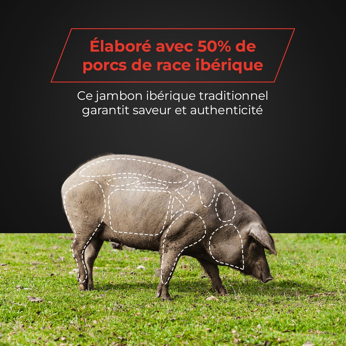 Jambon Ibérique de Cebo 50% Race Ibérique Désossé 1/4 Pièce - Affiné 24-36 Mois - Saveur Intense - Eibérico