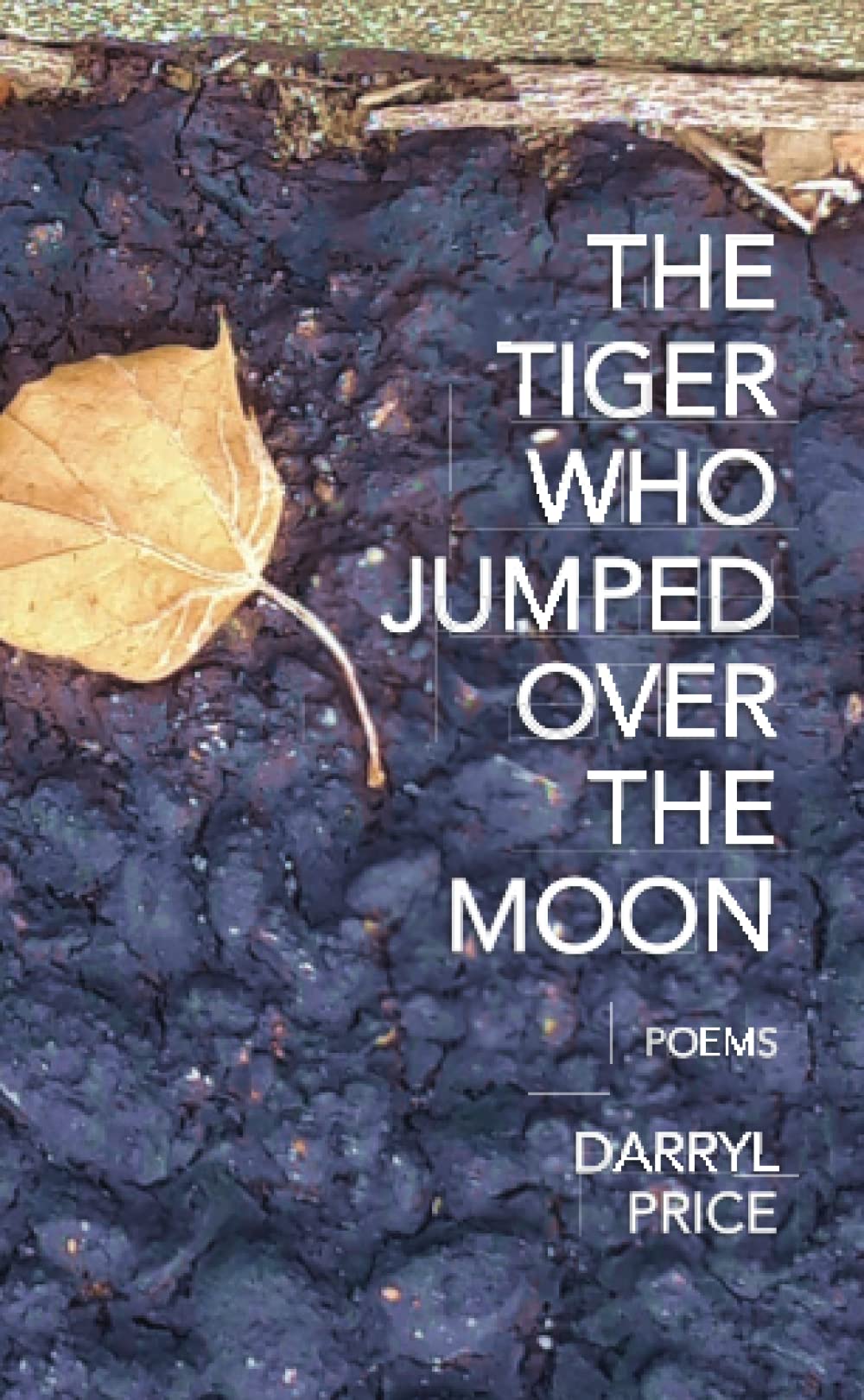 The Tiger Who Jumped Over The Moon