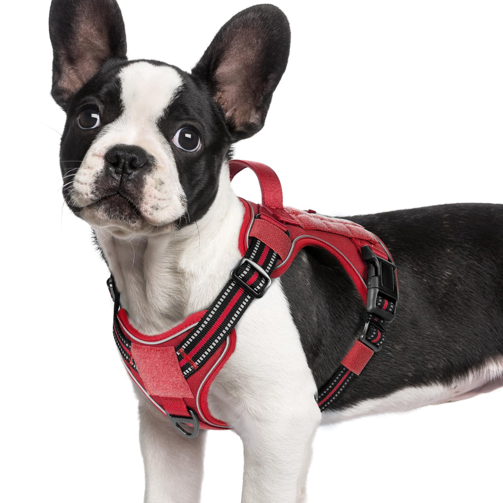 rabbitgoo Dog Harness Small Sized No Pull, Tactical Service Pet Vest with Molle and Control Handle, Adjustable and Reflective Military Harness for