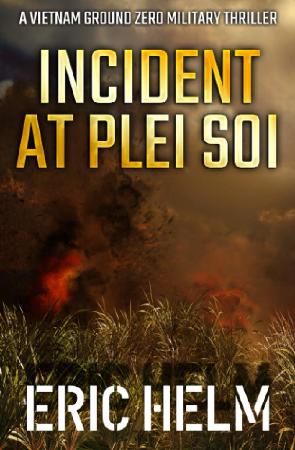 Incident at Plei Soi