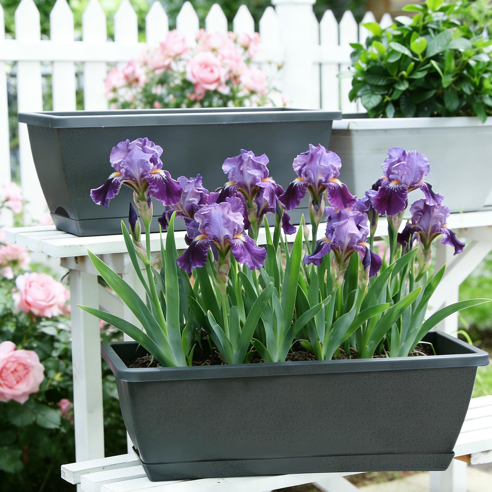 Jardinieres Exterieur, Lot de 6 Jardinière Balcon, Jardinière de Balcon ou de Rebord de Fenêtre avec Réservoir d'eau et Soucoupe pour Balcon et Terrasse